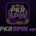 Pkr Spin Game Logo